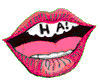 créer un forum : Les D. K V 1258411454